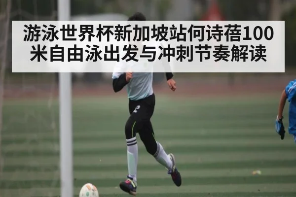游泳世界杯新加坡站何诗蓓100米自由泳出发与冲刺节奏解读